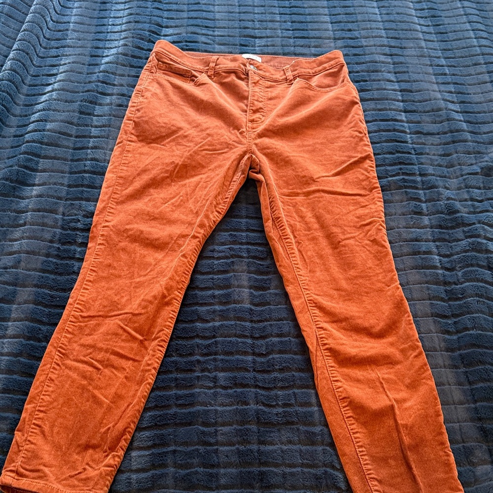 LOFT Burnt Orange/Rust Corduroy skinny leg pants size 30/10.